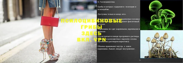 винт Алексин
