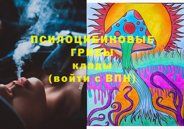 винт Алексин