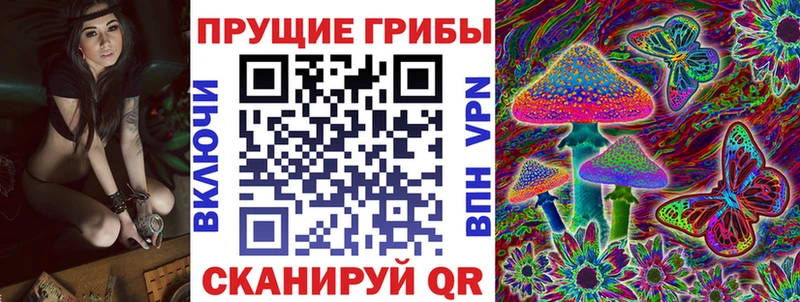 купить закладку ОМГ ОМГ вход Псилоцибиновые грибы Magic Shrooms Луза